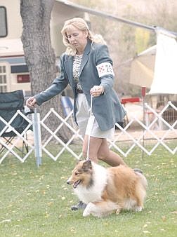 Kathy Coon runs with Tanner during one of the judging rounds at a dog show in Fuji Park Friday. Photo by Brian Corley
