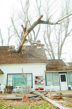 More than 60 feet of tree up to four feet in diameter fell on the Secor&#039;s house in Garderville, smashing the roof and coming to rest on the ceiling rafters Friday afternoon. Despite the extensive structural damage, water damage appeared to be minimal. Photo by Brian Corley