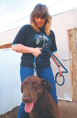 Janelle Davis of Mark Twain holds a chocolate lab that she cared for after she found it with a severely cut paw Sunday. She brought the dog to the vet and is searching for its owner.