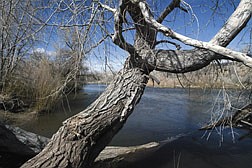 Cold weather has slowed down the Carson River. April rain and snow are unlikely to cause the river to jump its banks this year, thanks to a dry winter.