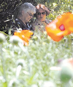 Mo Wion, left, and Darlene Eisele, both of Gardnerville listen to Dave Ruff lecture about deer and small animal resistant plants at the annual Genoa Home and Garden Tour at Antiques Plus Sunday afternoon.