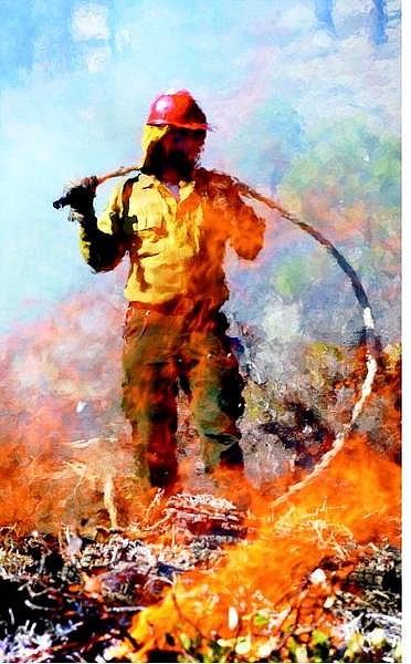 Rick Gunn/Nevada Appeal A U.S. Forest Service firefighter holds a hose near one of the  slash piles in a controlled burn west of the Lakeview Hills neighborhood Tuesday. The USFS is eliminating bitterbrush and Manzanita in a 25-acre area near the neighborhood in hopes of preventing catastrophic crown fires.