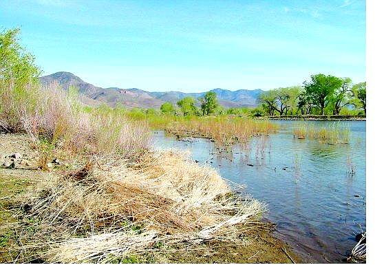 Kurt Hildebrand/Nevada Appeal The Carson River in Dayton is part of a 50-mile stretch between Carson City and Lahontan Reservoir contaminated with mercury - a historic remnant of the Comstock mining era. This stretch is Nevada&#039;s only Superfund site.