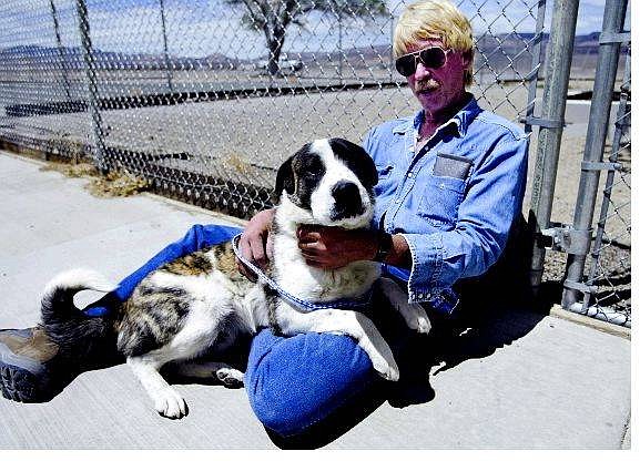 Cathleen Allison/Nevada Appeal Tom Blomquist plays with one of several dogs available for adoption from the Lyon County Animal Services. Blomquist, director of the Silver Springs Spay-Neuter Project, is organizing what he calls a &quot;used dog sale&quot; for Saturday from 11-3 at the intersection of highways 50 and 95A to help increase animal adoptions.