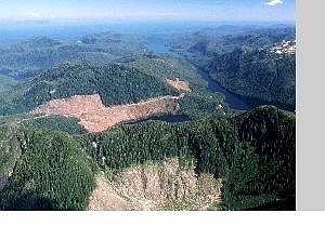 Associated Press A section of the Tongass National Forest on Prince of Wales Island in Alaska, is shown in this aerial photo taken in 1990. The patches of bare land in the center are where clear-cutting  occurred. Pacific Northwest conservationists are decrying the Bush administration proposal announced Monday.