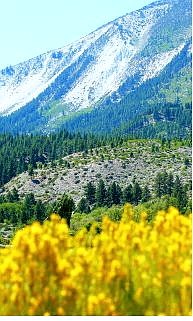 Rick Gunn/Nevada Appeal Slide Mountain shot from Washoe Valley.
