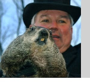 Keith Srakocic/Associated Press Handler Bill Deeley holds Punxsutawney Phil, the weather-predicting groundhog, after the reading of the proclamation that there would be six more weeks of winter after Phil saw his shadow in Punxsutawney, Pa., on Wednesday.