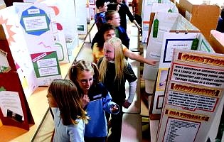 Students wander among the  science projects  in the Fritsch  Elementary School cafeteria Thursday.  Rick Gunn Nevada Appeal