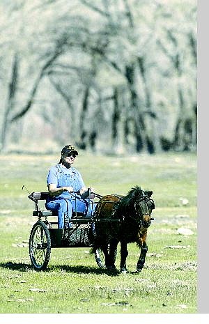 Cathleen Allison/Nevada Appeal Kathie Peterson of Dayton enjoys a ride with her 7-year-old gelding miniature horse, Happy, recently.