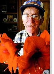 Rick Gunn/Nevada Appeal Albert Porter stands with his four amaryllis flowers on his 87th birthday. Porter has cared for his plant for 15 years, and in turn, the plant blooms every year on his birthday.