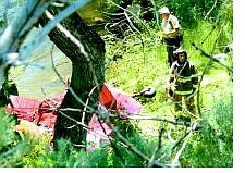 Rescue workers evaluate the remains of plane crash that killed a pilot in Alpine County on Tuesday shortly before noon.   Belinda Grant Appeal News Service