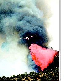 BRAD HORN/Nevada Appeal A plane drops retardant on the Mud Lake Fire on Saturday afternoon.