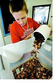 Michael Peterson, 12, a student council representative at Dayton Intermediate School, collects coins Thursday afternoon as part of a Hurricane Katrina penny drive. The students hope to raise $2,000 in the drive which ends today.   Cathleen Allison Nevada Appeal