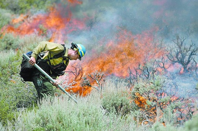 Cathleen Allison/Nevada AppealBill Harris, with the Lakeview Helitack crew from Lakeview, Ore., fights the Linehan fire at the top of Goni Canyon on Tuesday.