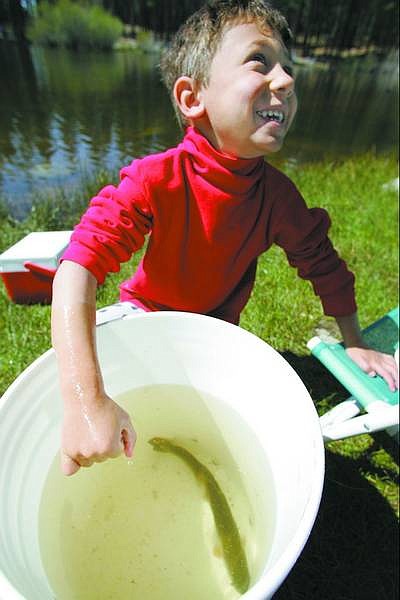 BRAD HORN/Nevada Appeal Daniel Juliussen, 5, of Dayton, talks about the trout he caught at Davis Creek State Park during the seventh annual Tommy&#039;s Elks Fishing Derby on Saturday morning.