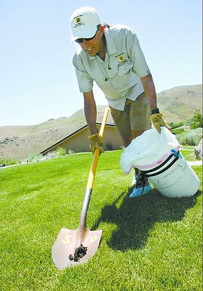Kevin Gallegos, owner of Scoopie Doo Dog Waste Removal, picks up dog poop at a Kings Canyon home Tuesday afternoon.    Cathleen  Allison/ Nevada Appeal