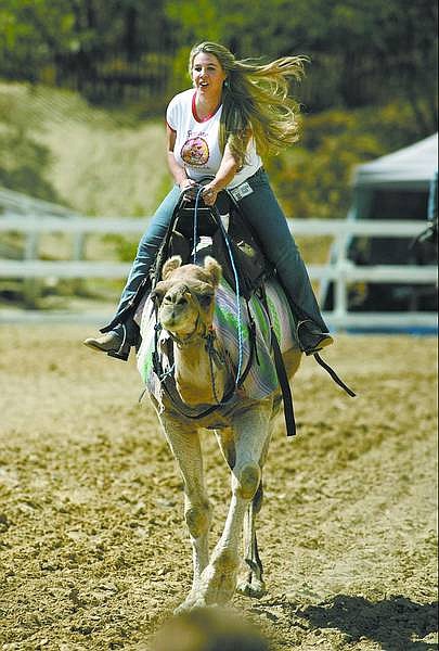 Cathleen Allison/Nevada Appeal Teri Vance won the media grudge match at the Virginia City International Camel Races last year.