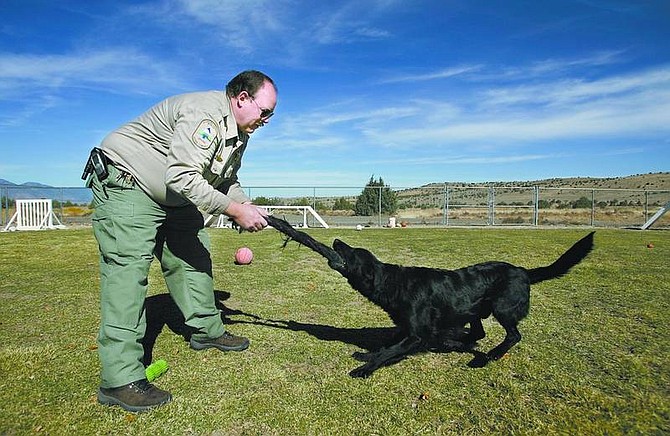 Douglas County Animal Care &amp; Services Supervisor John Respess plays with Tucker in the shelter exercise yard in October. Besides care from his staff, volunteers work at the shelter year-round  socializing, training, and exercising the dogs.  Cathleen Allison /Nevada Appeal