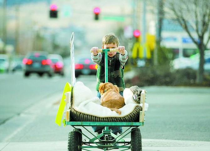Brad Horn/Nevada Appeal Freddy Allen, 5, of Carson City, pushes Lucy in a cart along Winnie Lane during a protest of Lil&#039; Pups in Carson City on Saturday. Lucy, a 5-month-old golden retriever who was bought from the store, suffers from hip dysplasia.