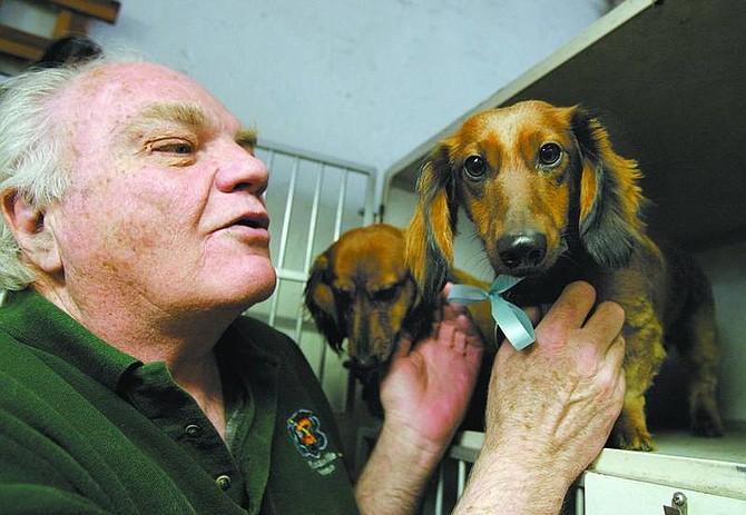 Chad Lundquist/Nevada Appeal Michael Viljoen, owner of Dayton Grooming, works with a pair of long-haired dachshunds at his shop on Wednesday.