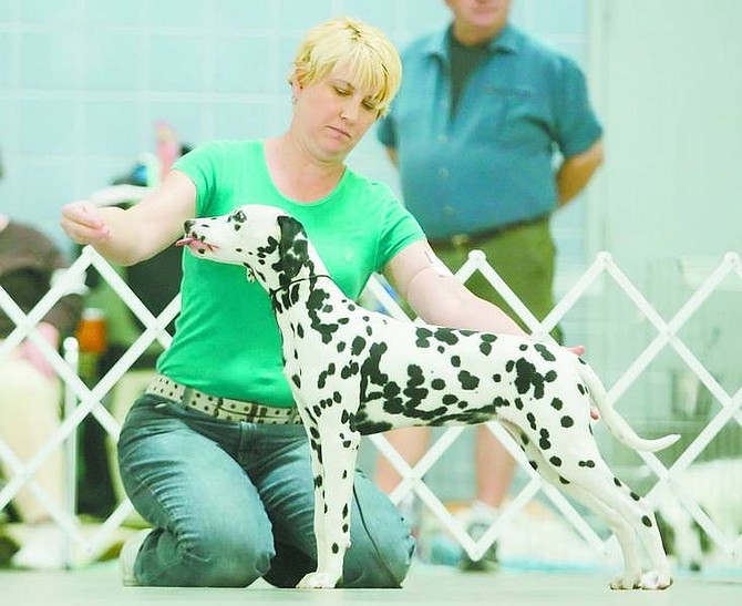 BRAD HORN/Nevada Appeal Carol Healy, of Reno, won Best Puppy &amp; Match, for her 5-month-old Dalmatian, Cincinnati, at Fuji Park on Saturday.