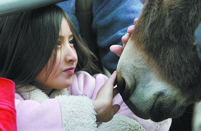 Cathleen Allison/Nevada Appeal Lesly Canas, 8, pets Josie the donkey during the 10th annual Capital City Farm Days at the Carson City Fairgrounds Thursday. More than 1, 500 students participated in the event, which continues today. Below, Fremont Elementary School kindergartners Brenda Ortiz-Soto and Fernando Rivas, both 6, pet a chicken.
