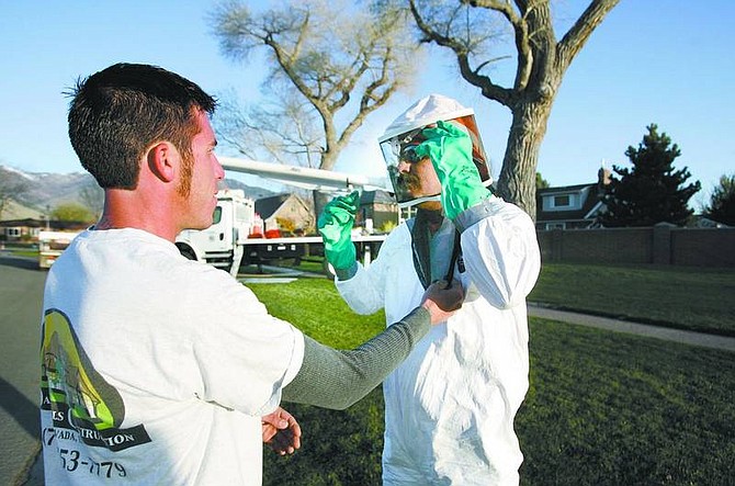 photos by Cathleen Allison/Nevada Appeal Beekeeper Gordon Vizenor, left, helps Carson City arborist Vern Markussen prepare for the removal of a beehive from a large cottonwood tree in Monte Vista Park on Thursday morning. The crew removed a four-foot section of the tree, containing the hive, from about 60 feet up the tree. Despite waking the bees up with his chain saw, Markussen only received one sting on the jaw during the whole process.