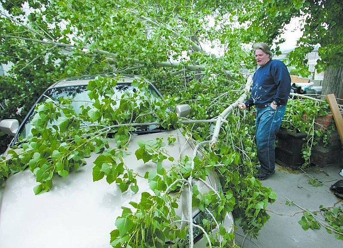 Les Gorsuch was not injured Tuesday afternoon when a large branch from a cottonwood tree fell on his car while he and a friend sat waiting in it outside his North Carson City home. High winds caused power outages and other damage around the area.    Cathleen Allison/Nevada Appeal