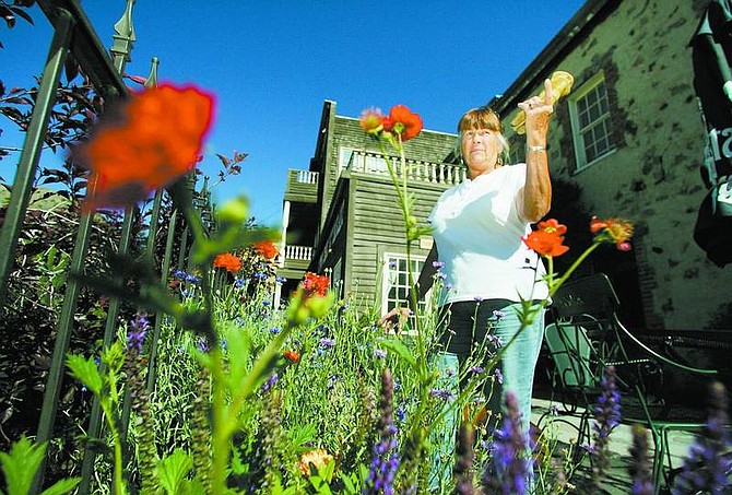 Karen Wright, aka Juniper Rose, author of &quot;The Bloomin&#039; Desert&quot; worked as a reporter for the Evening Gazette and the Comstock Chronicle. Wright is the gardener for the Gold Hill Hotel Gardens.   BRAD HORN/ Nevada Appeal