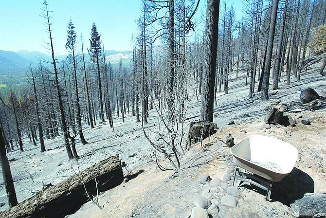 Dan Thrift/Appeal News Service Scorched earth off Highlands Avenue stands as a stark reminder of the Angora fire that ripped through South Lake Tahoe, which is now 70 percent contained. The fire destroyed 254 homes.