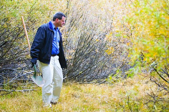 Jonah M. Kessel/Nevada Appeal News Service Lt. Martin Hale, of the South Lake Tahoe Police Department, peers into thick brush in the meadow behind Grocery Outlet near where a body was discovered last week. The autopsy results on the remains could be released today.