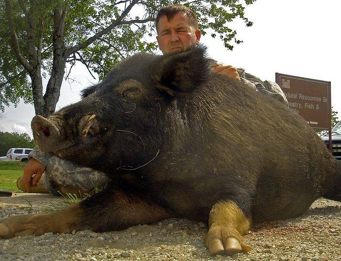 AP Photo/Fort BenningThis photo provided by the U.S. Army shows Army Maj. Bobby Toon posing in October 2007 with a feral pig he killed at Fort Benning in Columbus, Ga. Toon, dubbed the Pig Czar, has been assigned to help rid Fort Benning of its unwanted guests: an estimated 6,000 feral pigs that roam the 184,000-acre installation.