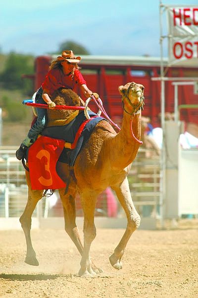 Cathleen Allison/Nevada Appeal