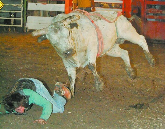 BRAD HORN/Nevada AppealMike O&#039;Farrell, 19, of Reno, gets thrown from a bull at Triple J Bull Riding in Washoe Valley on Friday. The company will produce a bull and bronc riding event as part of Dayton Valley Days on Saturday.