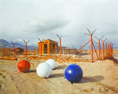 Erik Lauritzen, Military Balls, Hawthorne, archival digital pigment print, 21 3/8&quot; x 25 3/8&quot; x 1 1/4&quot;, 2000-2007.