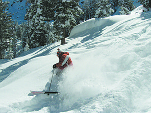 David Rittenhouse/For the Nevada AppealSean Warman frolics in the deep snow on Feb. 12 at Sierra-at-Tahoe.