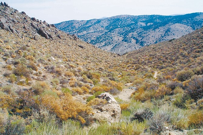 Sam Bauman/For the Nevada AppealA lonely trail leads off from the main path on the way to the top. Mark that for future exploration.