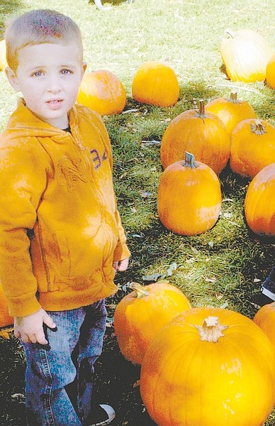 photos by Sandi Hoover/Nevada Appeal Gabe Lucas, 3, of Carson City, was one of dozens of kids who were able to pick out the perfect Halloween pumpkin on Saturday at the 4-H Pumpkin Patch in Fuji Park. Gabe says his dad will do the fancy carving to make a jack-o-lantern for him and his brother Asher.