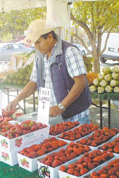 Sandi Hoover/Nevada AppealJuan Carlos, from the Rodriguez Ranch in Watsonville, Calif., sorts through boxes of perfect strawberries at the Downtown Farmer&#039;s Market Saturday. Carlos offered an assortment of fresh vegetables as well as berries.