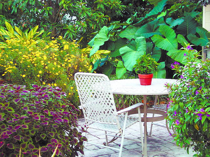 Everything in your garden right down to planters and containers and tables and chairs should be part of your site plan. A site map doesn&#039;t have to be elaborate or artistic; it just has to be of use to you. Illustrates GREENSCENE (category l), by Joel M. Lerner, special to The Washington Post. Moved Monday, Sept. 14, 2009. (MUST CREDIT: Photo for the Washington Post by Sandra Leavitt Lerner.)