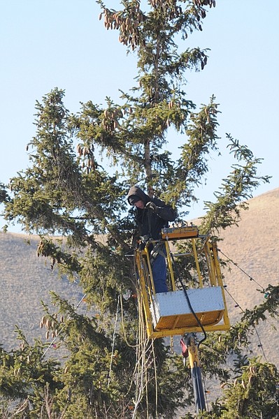 Geoff Dornan/Nevada AppealMike Murphy of American Sign and Crane Service strings lights on top of a pine tree on Capitol grounds Monday. The city&#039;s annual Silver and Snowflake Christmas tree lighting ceremony will be 5:30-6:30 p.m. Dec. 3. Festivities begin on the Capitol grounds.