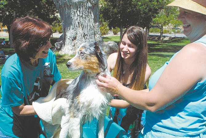 Sandi Hoover/Nevada Appeal Aura, an Australian shepherd, gets special treatment at the dog wash sponsored by the Sierra Nevada Border Collie Club at Fuji Park on Saturday. Aura enjoys being pampered by, from left, Donna Sullivan, Smantha Serena, 17, and Katrina Anderson.