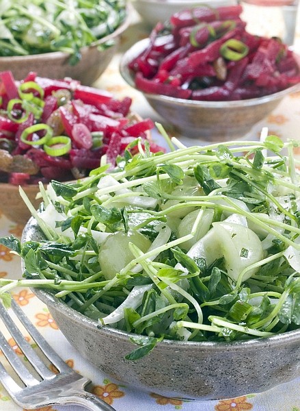 Bowls of fennel, pea shoot and green grape slaw, foreground, and beet slaw, background, are seen in this June 28, 2010 photo. Bypass the cabbage for your next summer slaw and try these versions instead.   (AP Photo/Larry Crowe)
