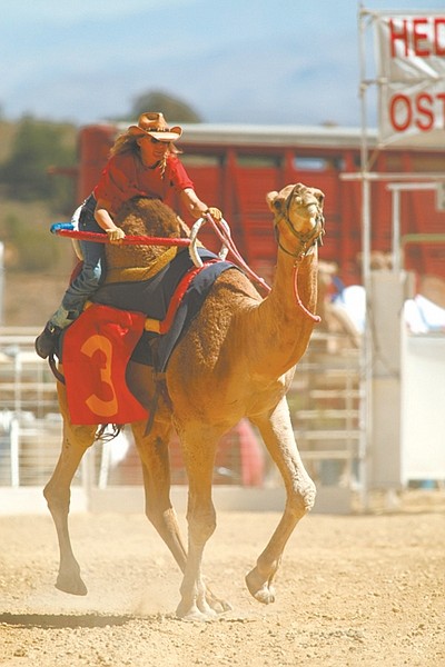 Cathleen Allison/Nevada Appeal