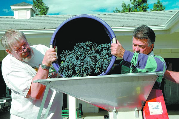 Courtesy Rhonda MetcalfMike Hautekeet, left, and Russ Fiddyment dump grapes from Red Metcalf&#039;s Carson City vineyard into a crusher and de-stemmer eight days ago. Metcalf credits both men with bringing their expertise to the family wine-making project over the past three years. Hautekeet, of Mike&#039;s Pharmacy, has chemistry skills, while Fiddyment has a masters degree in plant pathology.