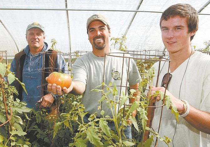 Shannon Litz/Nevada AppealMark O&#039;Farrell, left, owner of Hungry Mother Organics with Matt Beaty, assistant store manager, and Dan O&#039;Farrell, Mark&#039;s son, in the greenhouse on Wednesday. Beaty is holding a Cherokee purple tomato.