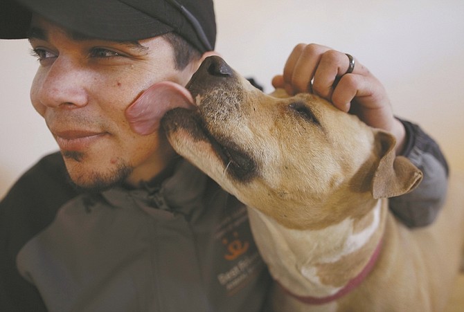 ** ADVANCE FOR RELEASE, SUNDAY, JAN. 30, AND THEREAFTER ** In this photo taken Thursday, Jan. 20, 2011, Dogtown manager John Garcia gets a lick on the face by Ellen in Kanab, Utah. Ellen is one of 13 pit bulls slowly recovering at the Best Friends Animal Society in the wilderness of Utah, a world away from where their lives began, chained in basements and forced into dogfighting rings as part of the business bankrolled by football player Michael Vick. (AP Photo/Julie Jacobson)
