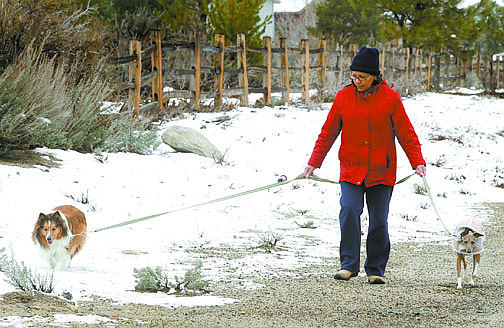 Shannon Litz/Nevada AppealKathryn Morrison walks her dogs, Cassie, a Sheltie, and Bella, an Italian greyhound, on Foothill Road on Wednesday afternoon. She said the walk is part of their daily routine.