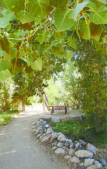 Jim Grant/Nevada AppealCarson River Park near Lloyd&#039;s Bridge off Carson River Road is due for upgrades that will add a number of amenities for residents including a covered group picnic area.