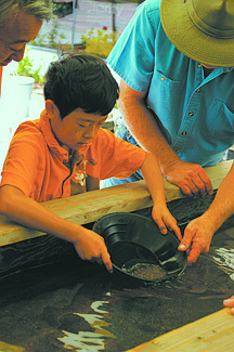Courtesy Nevada State MuseumA young visitor to a previous Carson City Mint Coin Show tries his hand at gold panning, a featured activity at the annual event that starts today and continues on Saturday. There will also be coin and collectibles booths, food, demonstrations of Coin Press No. 1 and raffles.